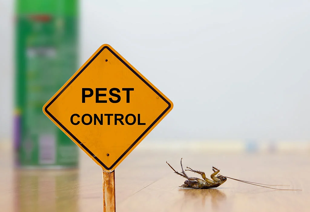 6 Ways to Kill a Cockroach: How to Rid Your Home of Roaches, Ants, and Other Unhealthy Pests